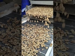 Cevizlerin Sihri - Doğal Tedavi ve Sağlık İçin Ceviz