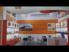 Güneşböceği tohumları üreticisi