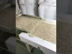 toptan ucuz fiyat barkey sınıfı Çin güneşböceği tohum çekirdeği Amazon'da en çok satan