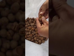 Ceviz esas olarak ne için kullanılır?