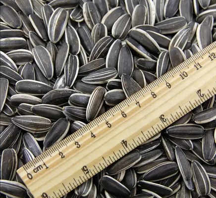 satın al Yeni Ürün Güneşböceği Tohumları Çince T5 210-220 Yüksek Kaliteli Çiğ 20/25kg Pp Dokumalı Torba Paketleme Güneşten Kurutulmuş Setler online manufacture