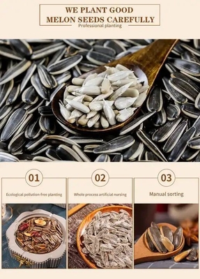 satın al Çin Fabrika İşlemi Beş Kokulu baharat Kaynatılmış Tuzlu Kavrulmuş Güneşböceği Tohumları online manufacture