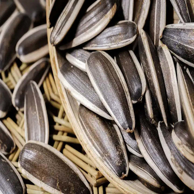 satın al Altın çekirdek hasadı, garantili memnuniyet için B2B hasat çözümü online manufacture