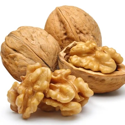 satın al Doğal Fındık Yarımları ve Parçaları 1 lb, 100% XinJiang Turşusuz Fındıklar Pişirme için online manufacture