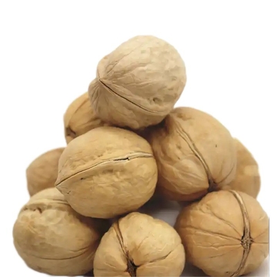 satın al Cevizler Mevcut Yeni Ürün Kabuk içinde en iyi seçim Ceviz, Birinci kalite - 5 lbs (80 oz) Çanta / Kutuda Paketlenmiş online manufacture