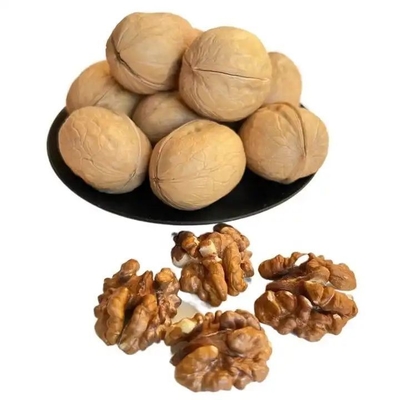 satın al Fabrika Toptan 10kg/çanta ham 185/33/xin2/xingfu cevizleri Amazon'un en çok satan ürünleri online manufacture