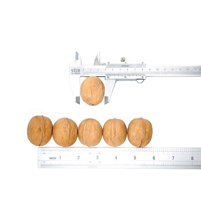 satın al Amazon sıcak satış Yüksek Kalite En İyi Fiyat Toptan Fabrika xinjiang İnce Deri 185 ceviz 32mm+ online manufacture