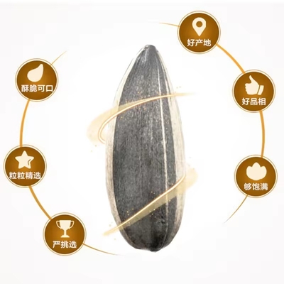 satın al Halal Sertifikası Fındıklar ve Kernel Atıştırmalıkları Aromalı Kızarmış Güneşböceği Tohumları Toptan ve OEM Profesyonel Popüler online manufacture
