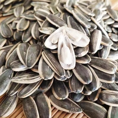 satın al 99.9% Saflık Güneşböceği Tohumları lezzetli atıştırmalıklar ve müşteri ihtiyaçlarını karşılamak için online manufacture