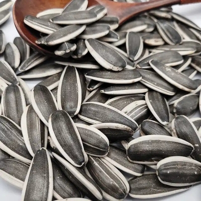 Güneşböceği Tohumları 5009 Sağlığa Dikkatli Alıcılar İçin En İyi Yem