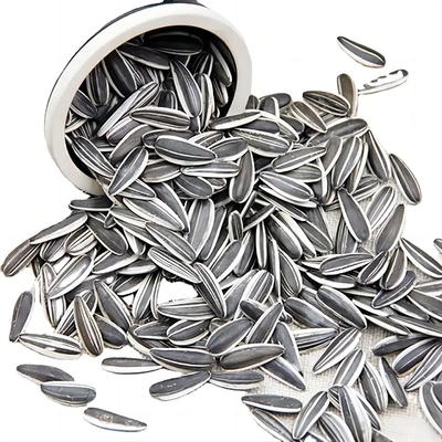 Çin Yüksek Kaliteli Organik Karpuz Tohumları Toptan Toplu Taze Atıştırmalık Kızarmış Güneşböceği Tohumları Kernel