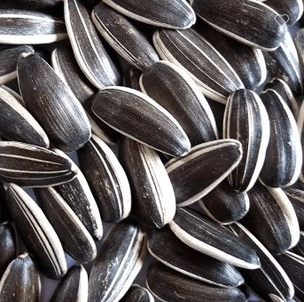 Sunshine Grove Kernels ile Müşteri İhtiyaçlarını Etkili Bir Şekilde Karşılayın