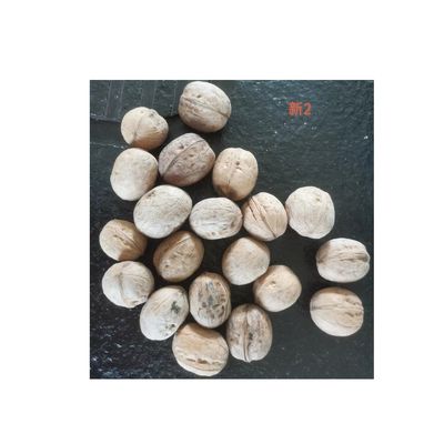 Çin Fabrikası Toptan Yeni Ürün Yıkanmış Ceviz 185 Daha Ucuz Fiyat ve Kalite