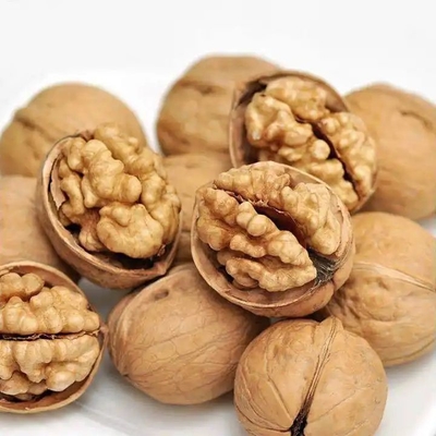 Walnut Kernel Xin 2 ile ürün hattınızı yükseltin