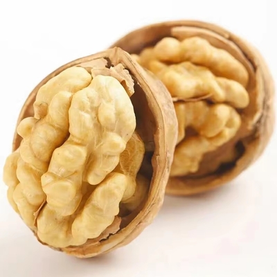 Fabrika 1kg Ceviz Fiyat Ceviz Yarımları Toptan Çin Top Thin Raw Amber 25kg/bag Packaging Raw Dried Walnut Kernel Dried Nuts